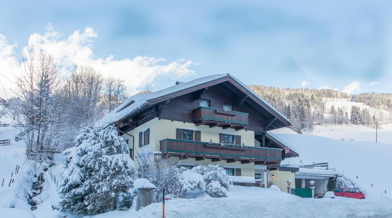 Sonnberg Lodge 玛丽亚埃姆安斯泰内嫩米尔 外观 照片